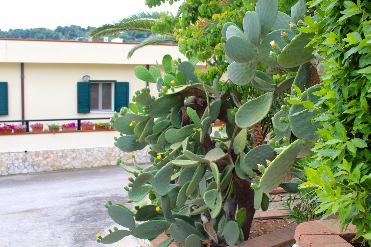 Villaggio Turistico Defensola Vieste Exterior foto